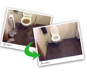 WC-Verstopfung Neckarsteinach