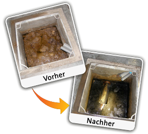 Keller & Kanal Verstopfung Neckarsteinach
